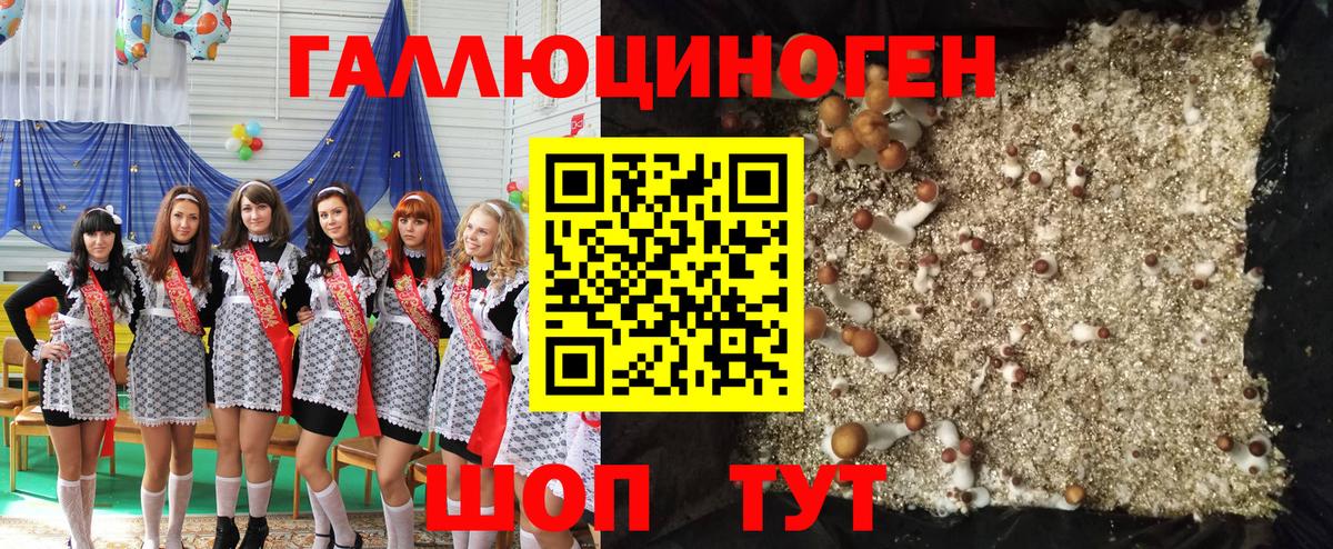 магазин    Псилоцибиновые грибы MAGIC MUSHROOMS  Кинель  Вход с VPN  Псилоцибиновые грибы ЛСД 